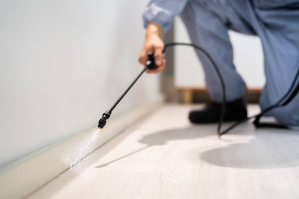 Certified termite inspector examining foundation in Lakemont